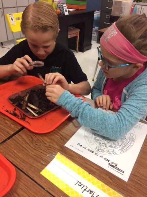kids looking at soil sample